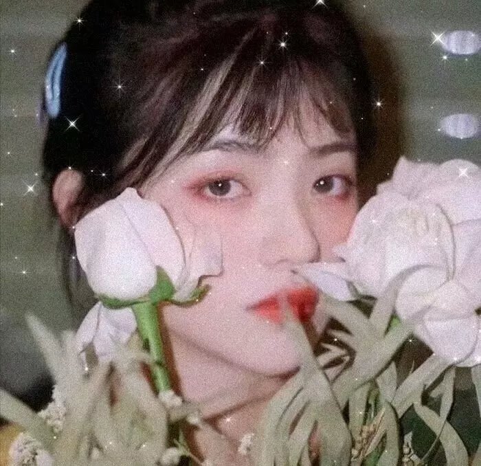 美景不可及