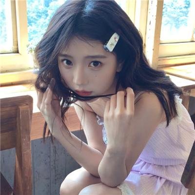 宫崎骏与苍鹭