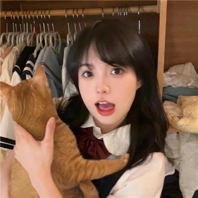运动高飞狗