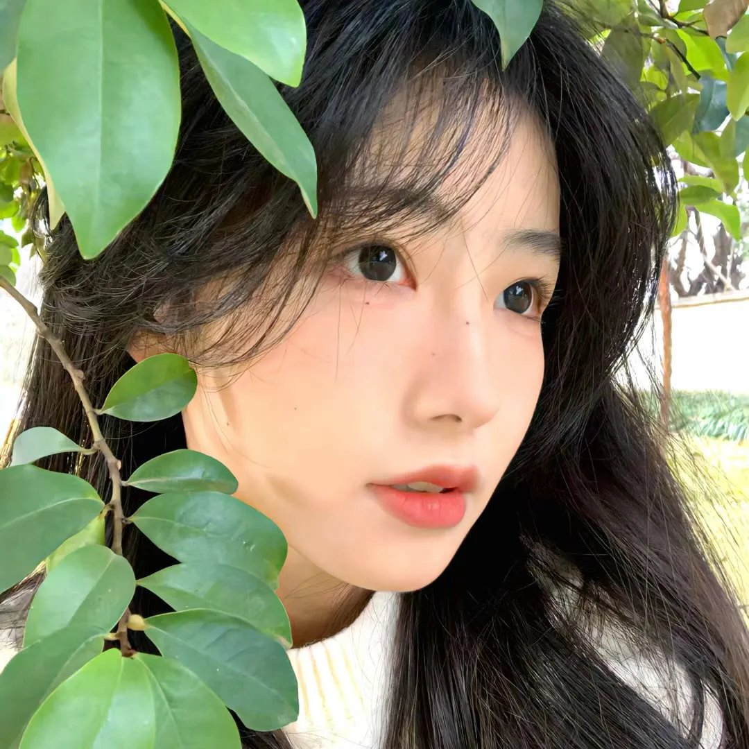 独活女子的推荐 第五季
